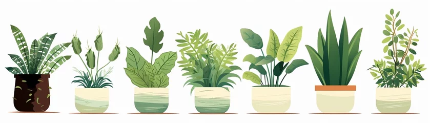 Foto op Canvas Isolated vector houseplants symbolizing growth and a commitment to zero waste living spaces © chayantorn