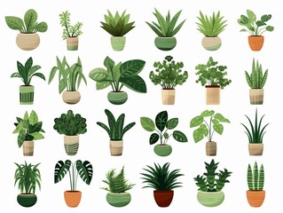 Fototapeta na wymiar Home flower vector composition isolated green plants in pots for ecofriendly zero waste interiors