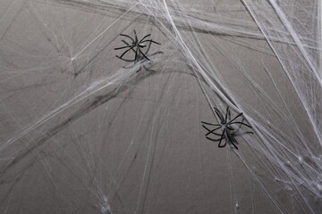 Cobweb and spiders on gray background, top view