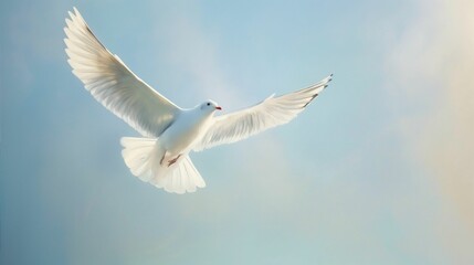 Obraz premium White bird soaring freely in the vast sky.