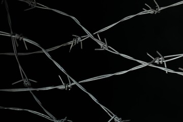 Shiny metal barbed wire on black background