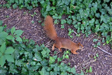 Botanical Garden in Vienna