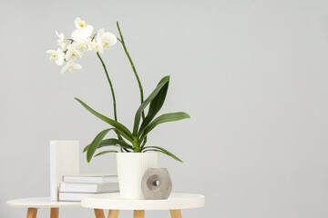 Blooming white orchid flower in pot, books and candle on nesting tables near grey wall indoors,...