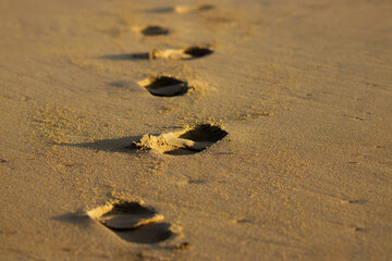 Fototapeta na wymiar 砂浜に残るひとりの足跡