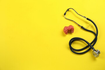 Endocrinology. Stethoscope and model of thyroid gland on yellow background, above view. Space for...