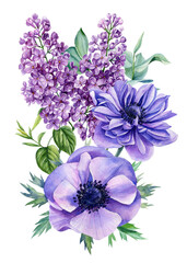 Blue flowers. Anemones, lilac, leaves on isolated white background. Watercolor spring Flower, botanical illustration.