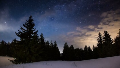 A beautiful night sky and coniferous forest, trees, stars, Milky Way galaxy