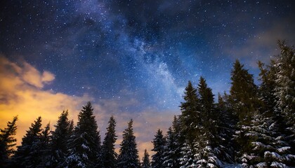 A beautiful night sky and coniferous forest, trees, stars, Milky Way galaxy - obrazy, fototapety, plakaty