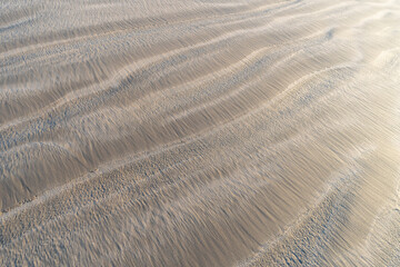 Sand Texture Background, Sandy Beach Pattern, Beige Ocean Dune Wallpaper, Wet Beach