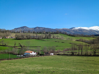 Paisagem serena: Zona rural com pastos verdejantes e montanhas nevadas no horizonte em Larrau no...