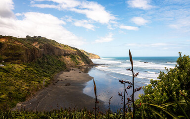 Oceanview with plants in foreground