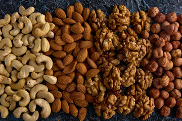 Cashews, almonds, walnut halves and hazelnuts are neatly arranged according to the types of nuts on a gray textured background. Mixed raw nut products for snacking