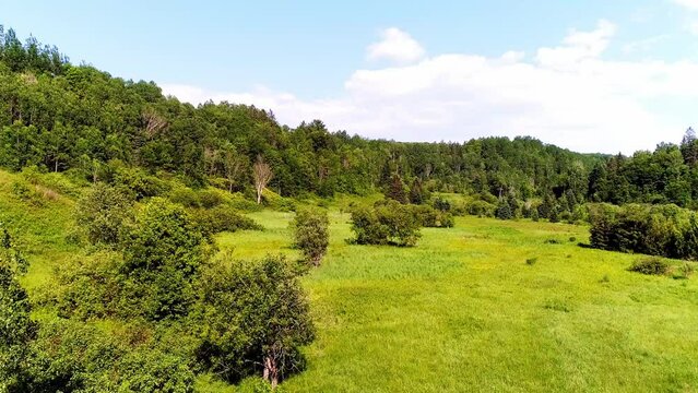 Flying slowly near the trees accross the land