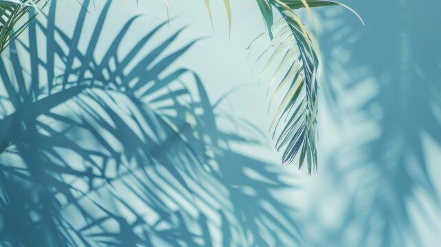 A blurred shadow cast by palm leaves on a light blue wall creates a minimal abstract background, ideal for product presentations. Evoking feelings of spring and summer.
