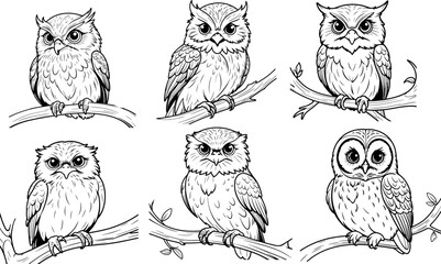 Owl hand drawn coloring page and outline vector design