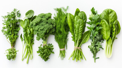 Greenery on white background