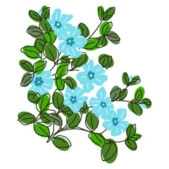 Periwinkle flowers with leaves. Vector illustration