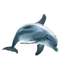 Obraz premium dolphin isolated on white background