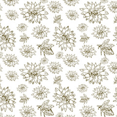 doodle sketch of flowers camomile and sunflower isolated