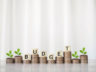 Wooden blocks with the word BUDGET and plants growing up on stack of coins. The concept about...
