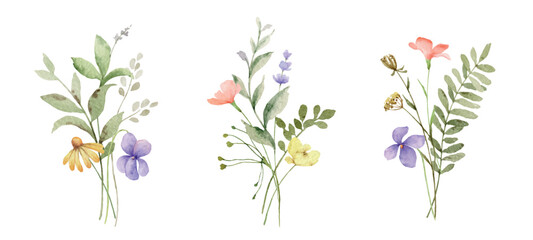 Wild field herbs flowers. Watercolor vector floral collection set bouquets. Design for invitation, card, stationery, fashion, wedding, prints. Holiday decor. Hand drawn illustration.