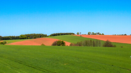 Mountains, meadows, forest, Alps. Spring. Europe