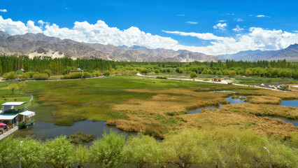 Fototapeta na wymiar View at the green valley in Leh, Ladakh