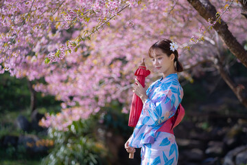 Pretty Asian woman in a Yukata dress. Portrait fashion girl wearing a traditional Japanese kimono...