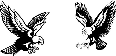 Obraz premium eagle with wings