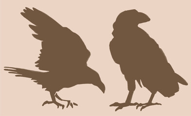 Vintage vector set of silhouettes of crows. Elements for design,tattoo and printing	