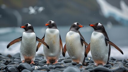 Obraz premium Group of Penguins Standing on Rocky Beach