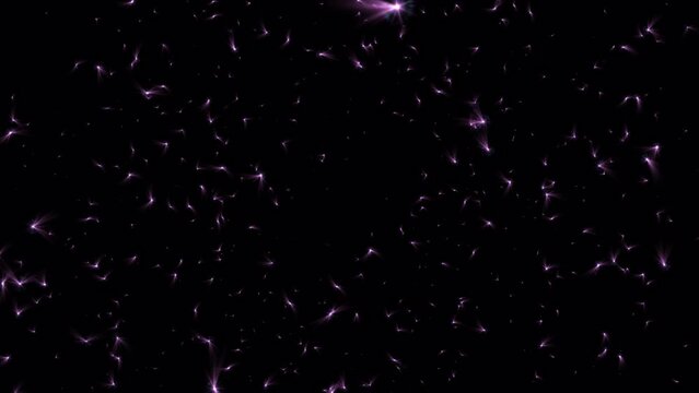 Loop glow pink stars particles falling down animation on black abstract background. Promote advertising concept isolate using QuickTime Alpha Channel proress 444