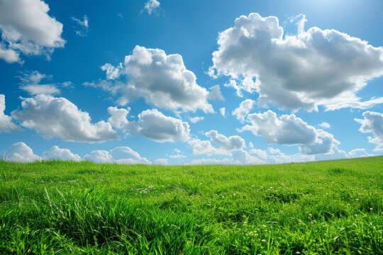 Field of green grass with blue sky and clouds