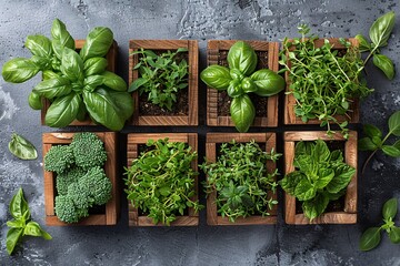 a group of plants in wooden boxes - obrazy, fototapety, plakaty