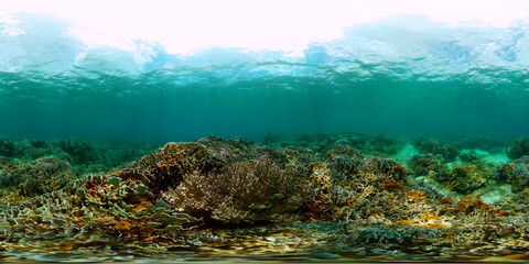 Coral reef and tropical fish under the sea floor. Underwater world landscape. 360 panorama.