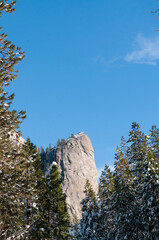 Exterior of snow-covered trees on a brisk sunny winter morning in Yosemite national park.