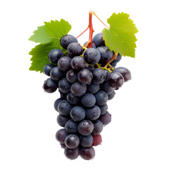 Fototapeta premium A bunch of grapes with a leaf on top Isolated on transparent background, PNG