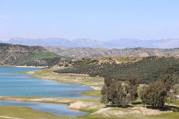 Fototapeta na wymiar lake and mountains where green meets blue
