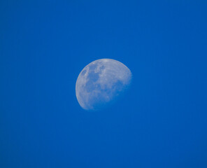 moon in the sky