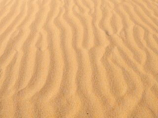 Obraz premium texture of the sand as background