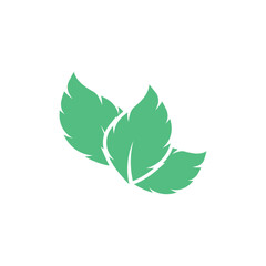 Green leaf logo vector element symbol template
