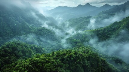 Aerial View of Fog-Covered Mountain Range