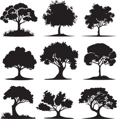 Black silhouette Trees isolated on white background