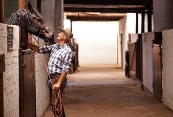 Cowboy, man and horse in stable with check for care, growth and development at farm, ranch or...