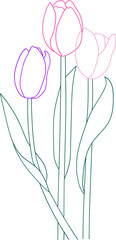 라인 튤립 일러스트