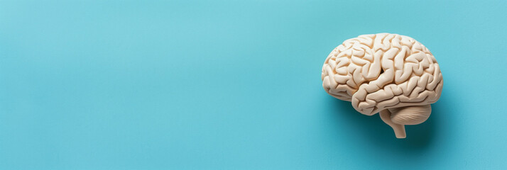Brain model symbolizes autism, dementia, Alzheimer's awareness on faded blue backdrop, minimalist 