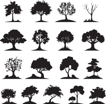 Black silhouette Trees isolated on white background