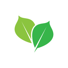 Green leaf logo vector element symbol template