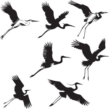 Set of black birds silhouette on white background