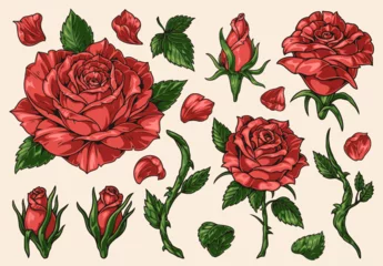 Rolgordijnen Red rose colorful set elements © DGIM studio